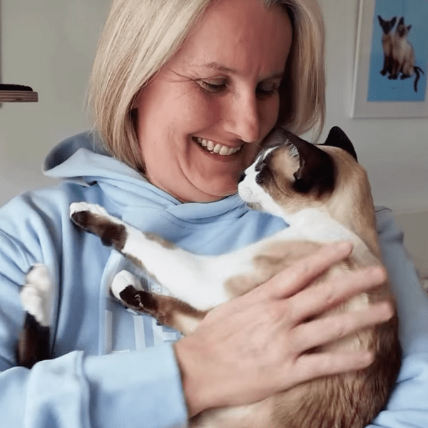 From One Photo to a Whole Playground - Pryde Pets | prydepets.com