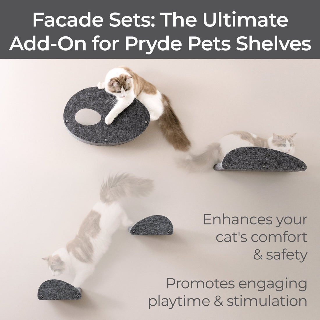 Set of 4 Charcoal Cat Climber Facade Add-Ons