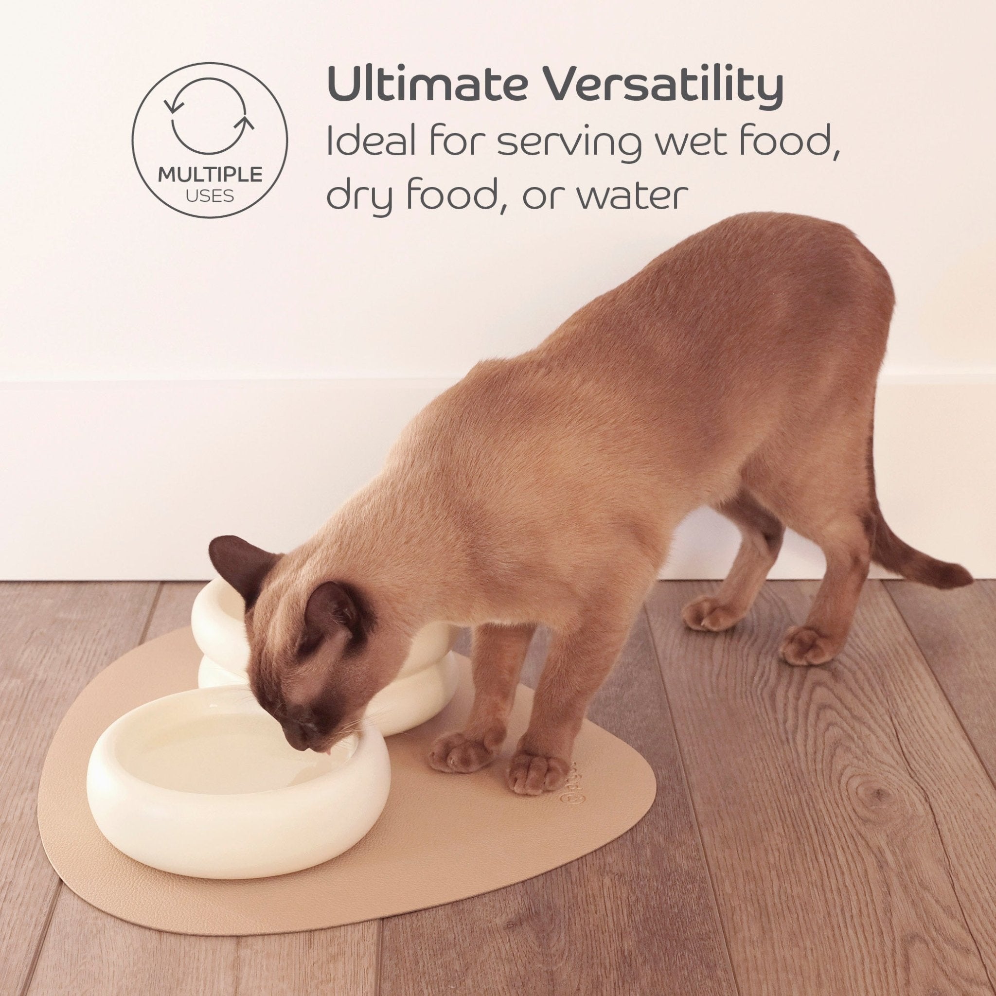 Ceramic Dining Bowl - Pryde Pets | prydepets.com