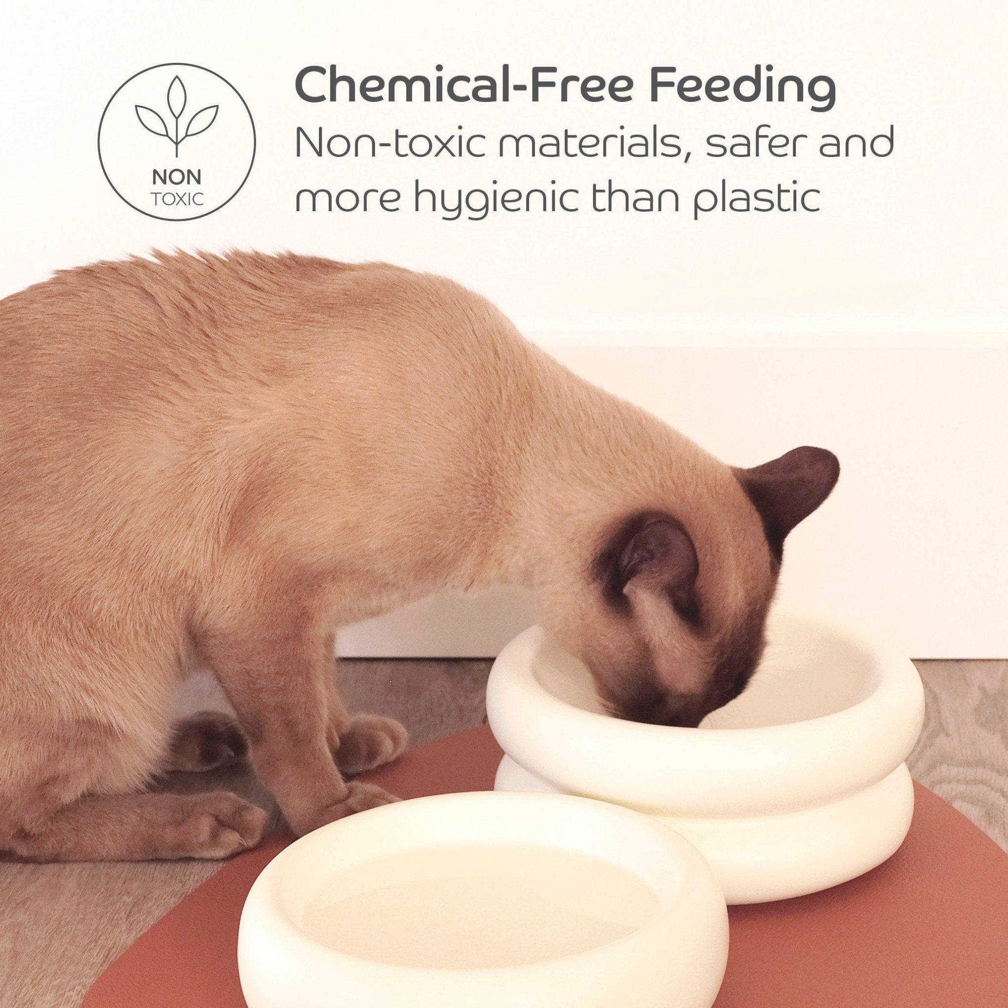 Ceramic Dining Bowl - Pryde Pets | prydepets.com