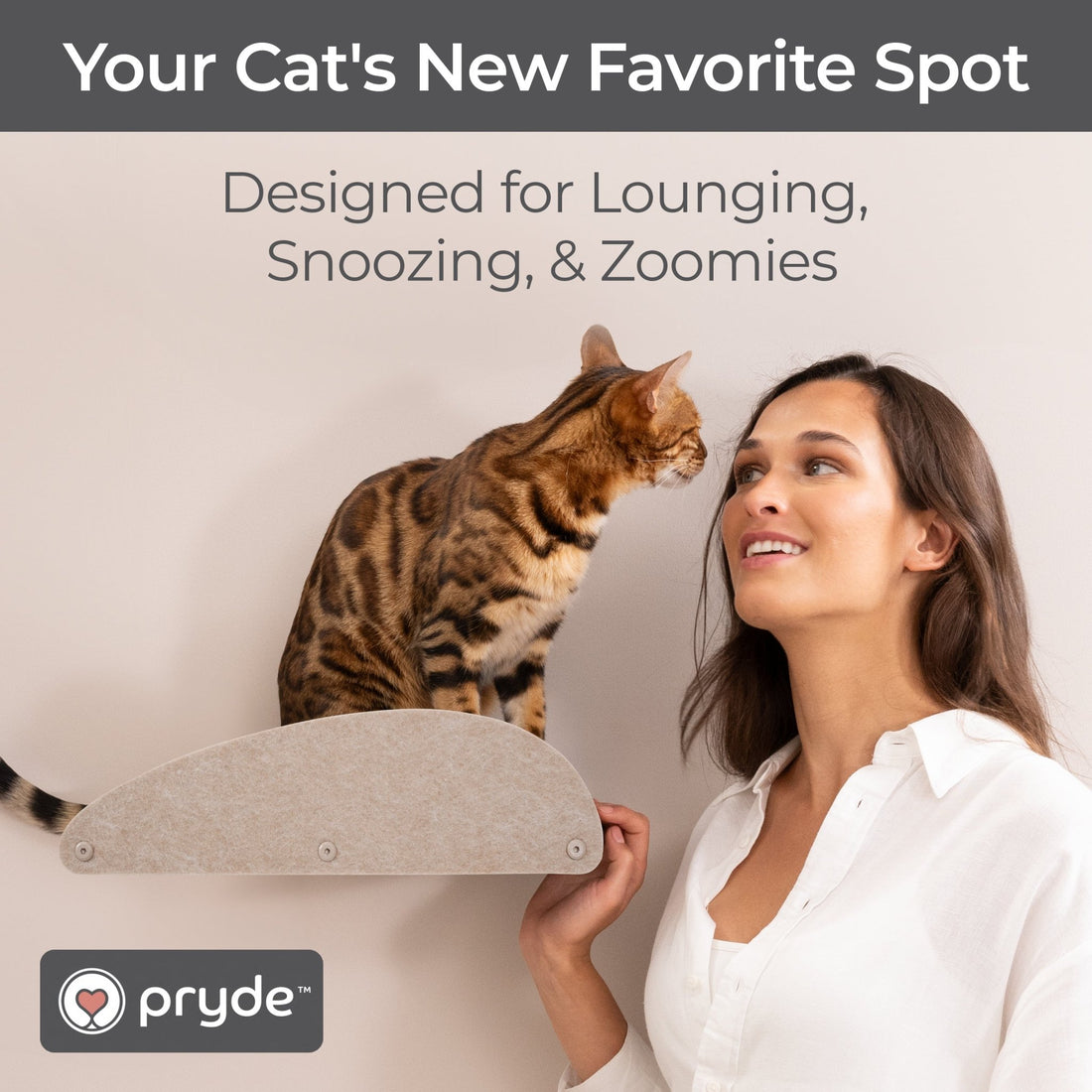 Oatmeal Long Lounger Cat Climber Facade Add-On