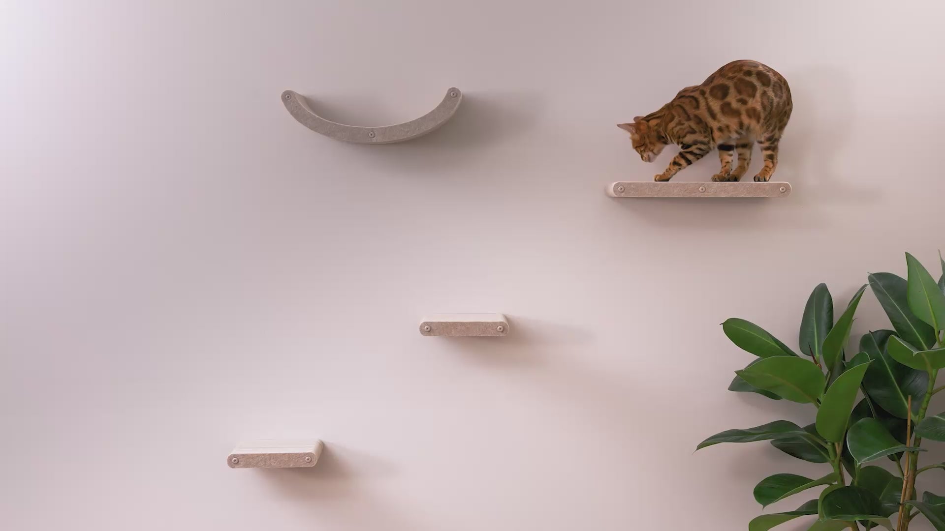 Set of 4 Oatmeal Cat Climbers