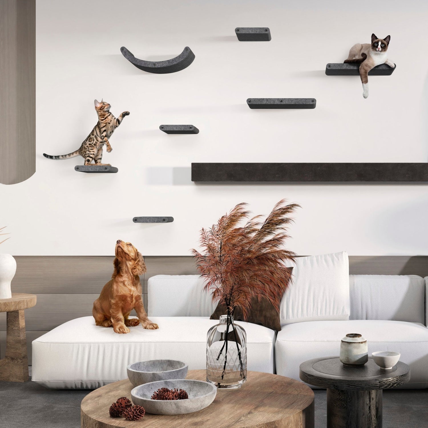 Everything You Need to Know About Cat Climbing Structures in 2025 - Pryde Pets | prydepets.com