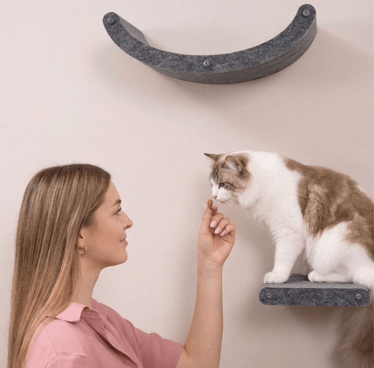 The Best Cat Treats in Australia: Why Freeze-Dried Is in a League of Its Own - Pryde Pets