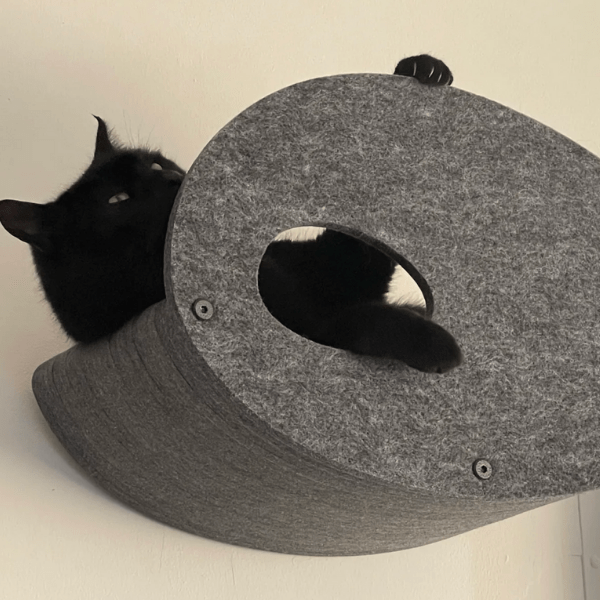 The Ultimate Guide to Minimalist Cat Furniture - Pryde Pets | prydepets.com