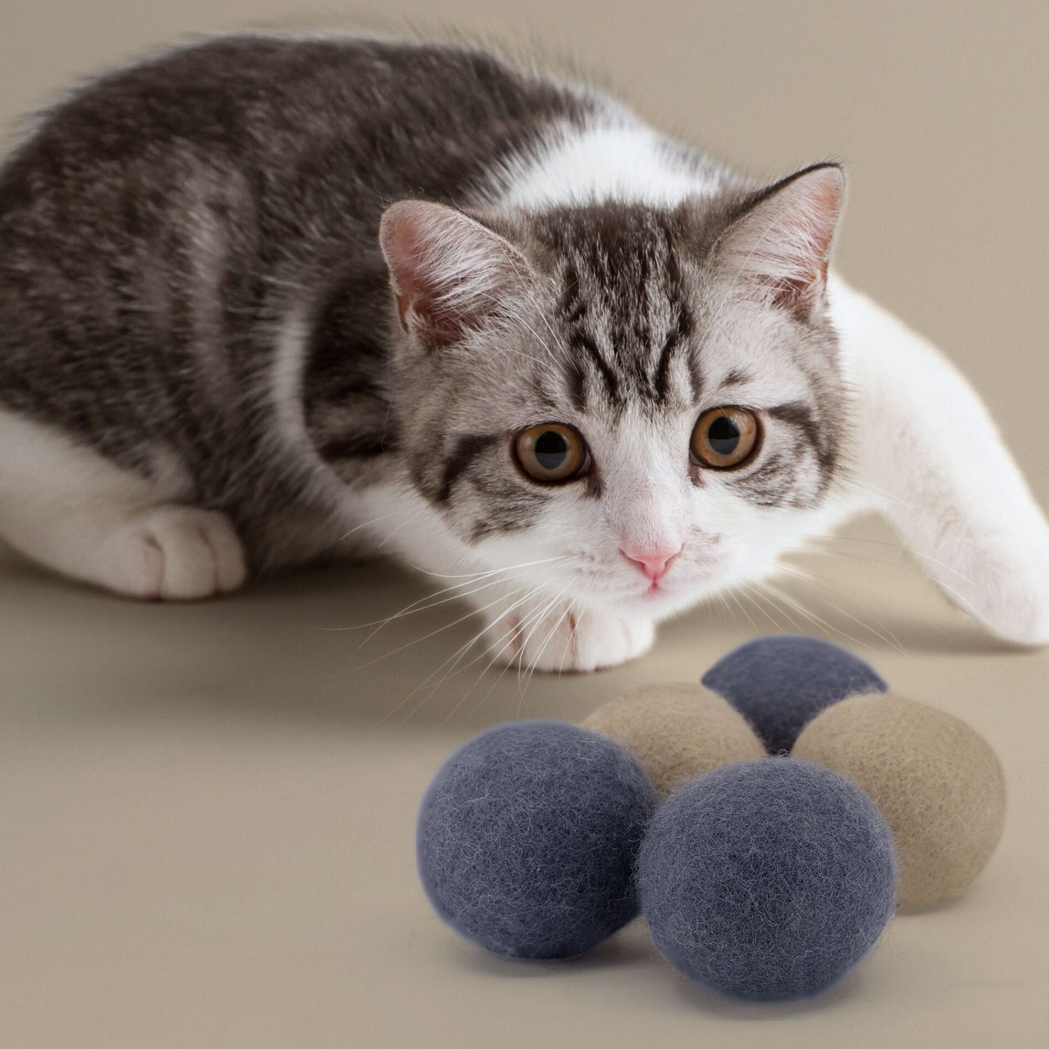 Toys &amp; Accessories