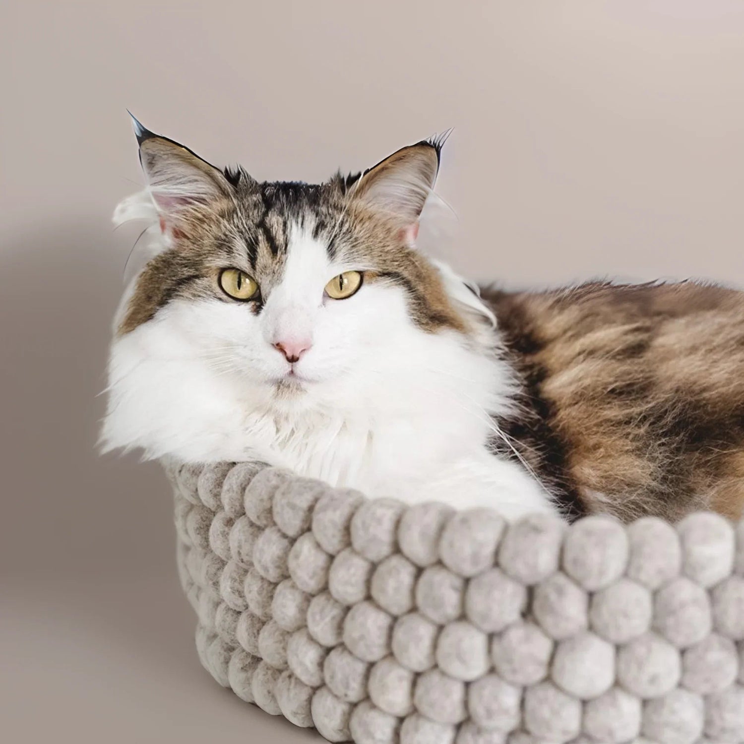 Bedding - Pryde Pets | prydepets.com