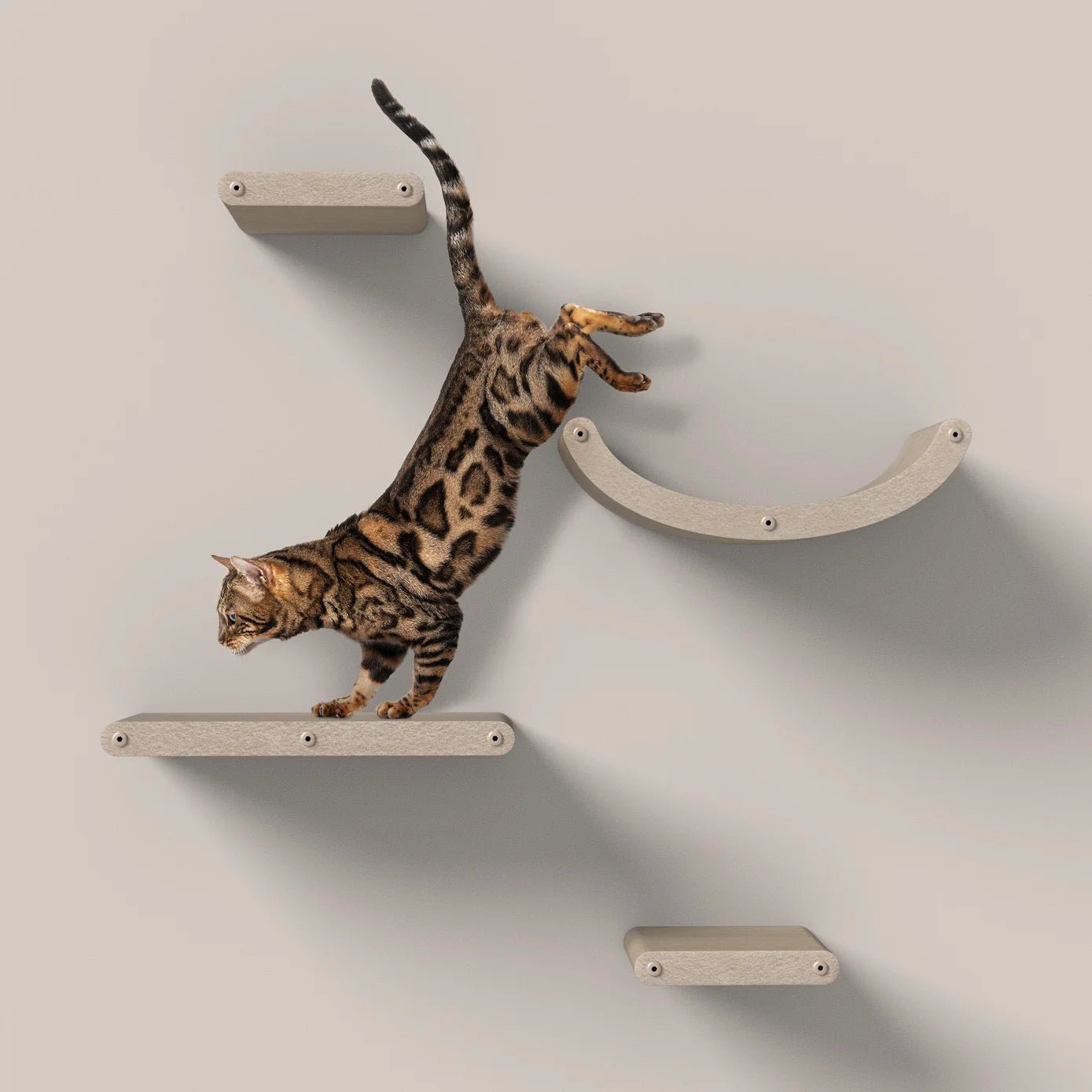 Climber Sets (4 Shelves) - Pryde Pets | prydepets.com