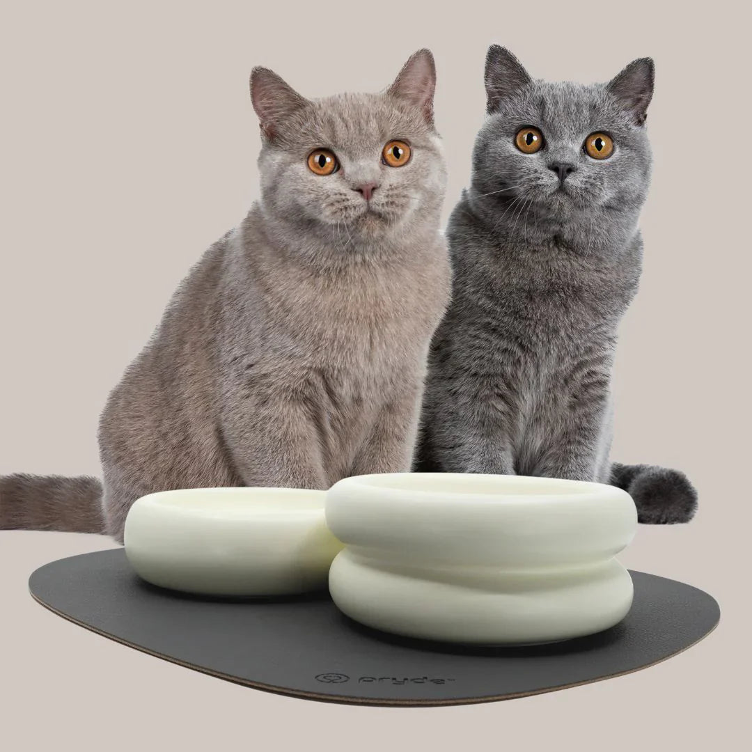 Dining - Pryde Pets | prydepets.com