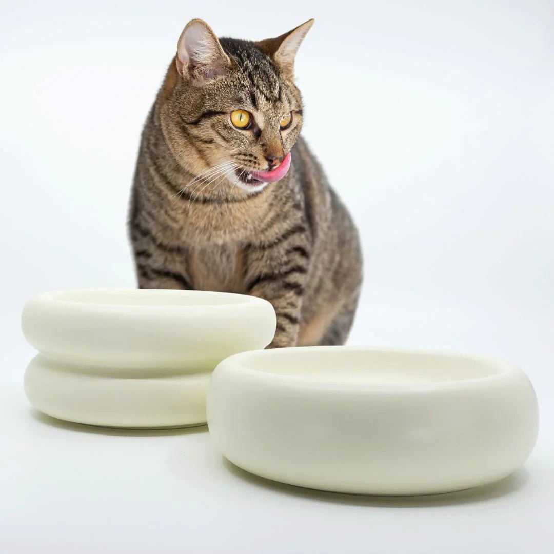Dining Bowls - Pryde Pets | prydepets.com