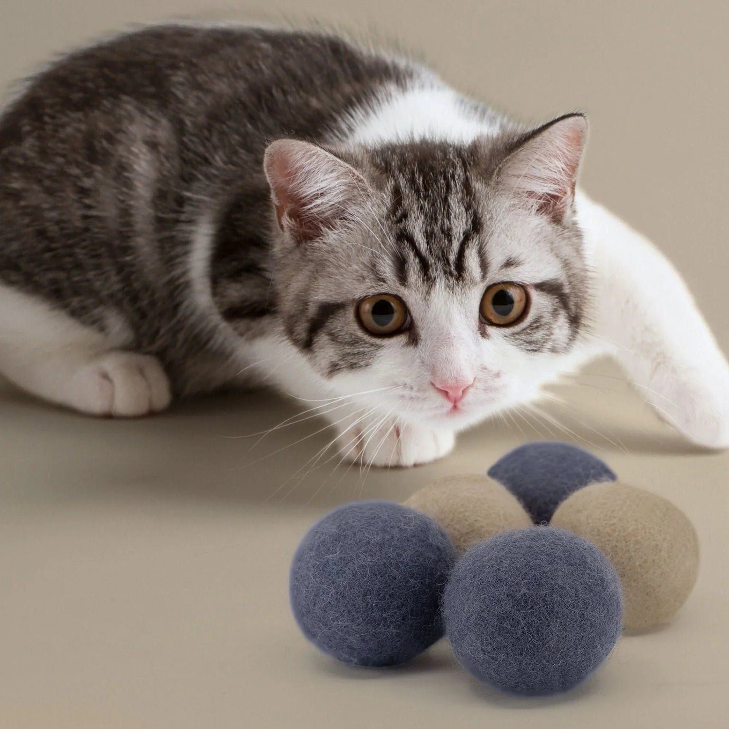 Toys &amp; Accessories - Pryde Pets | prydepets.com