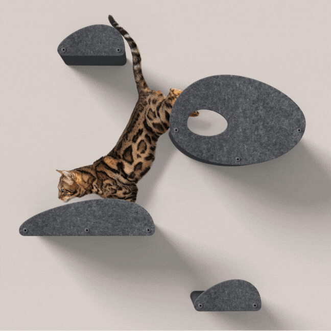 Set of 4 Charcoal Cat Climbers with Facades