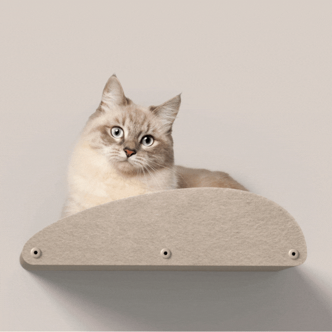 Oatmeal Long Lounger Cat Climber with Facade