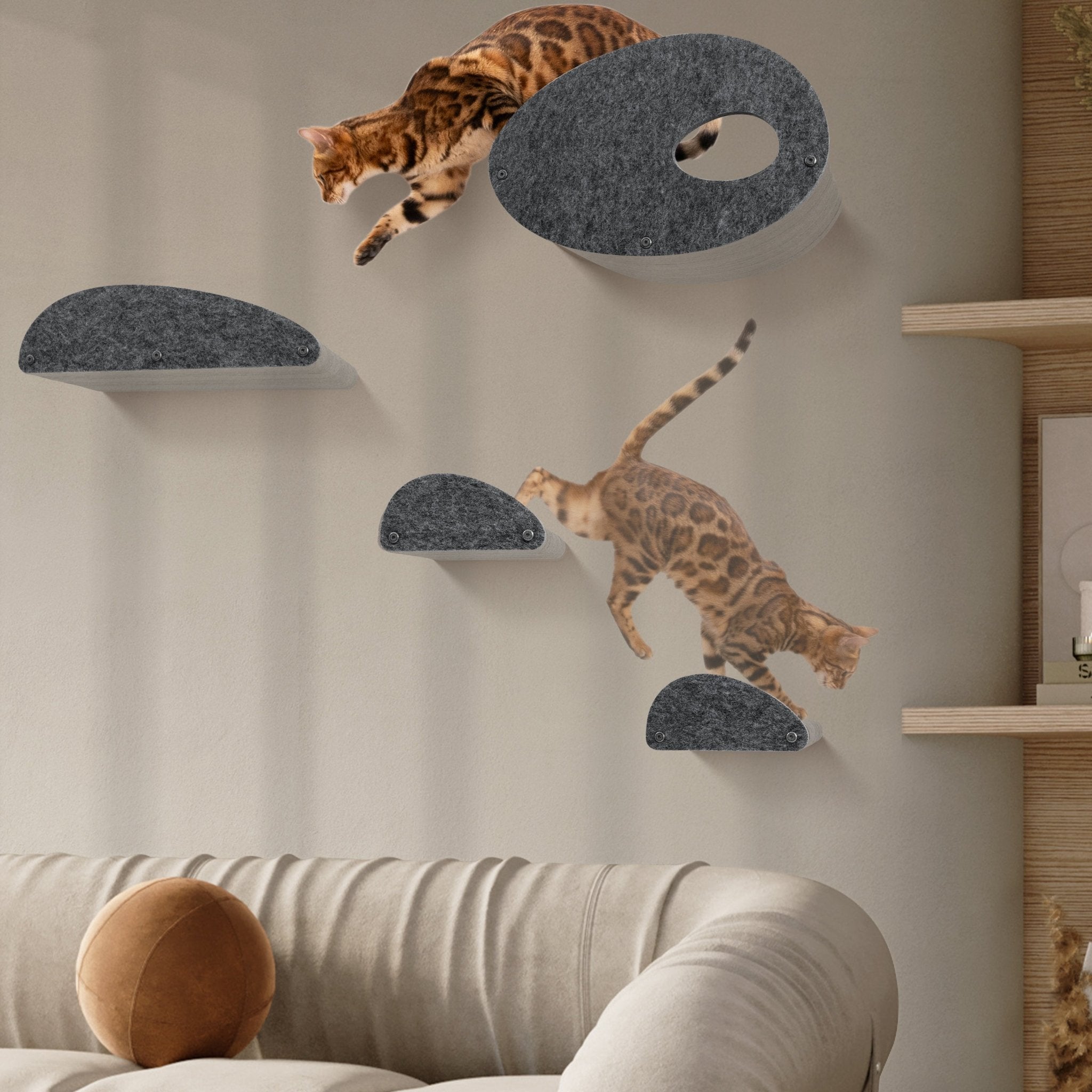 Cat Climber Facades (Charcoal) - Set of 4 - Pryde Pets | prydepets.com