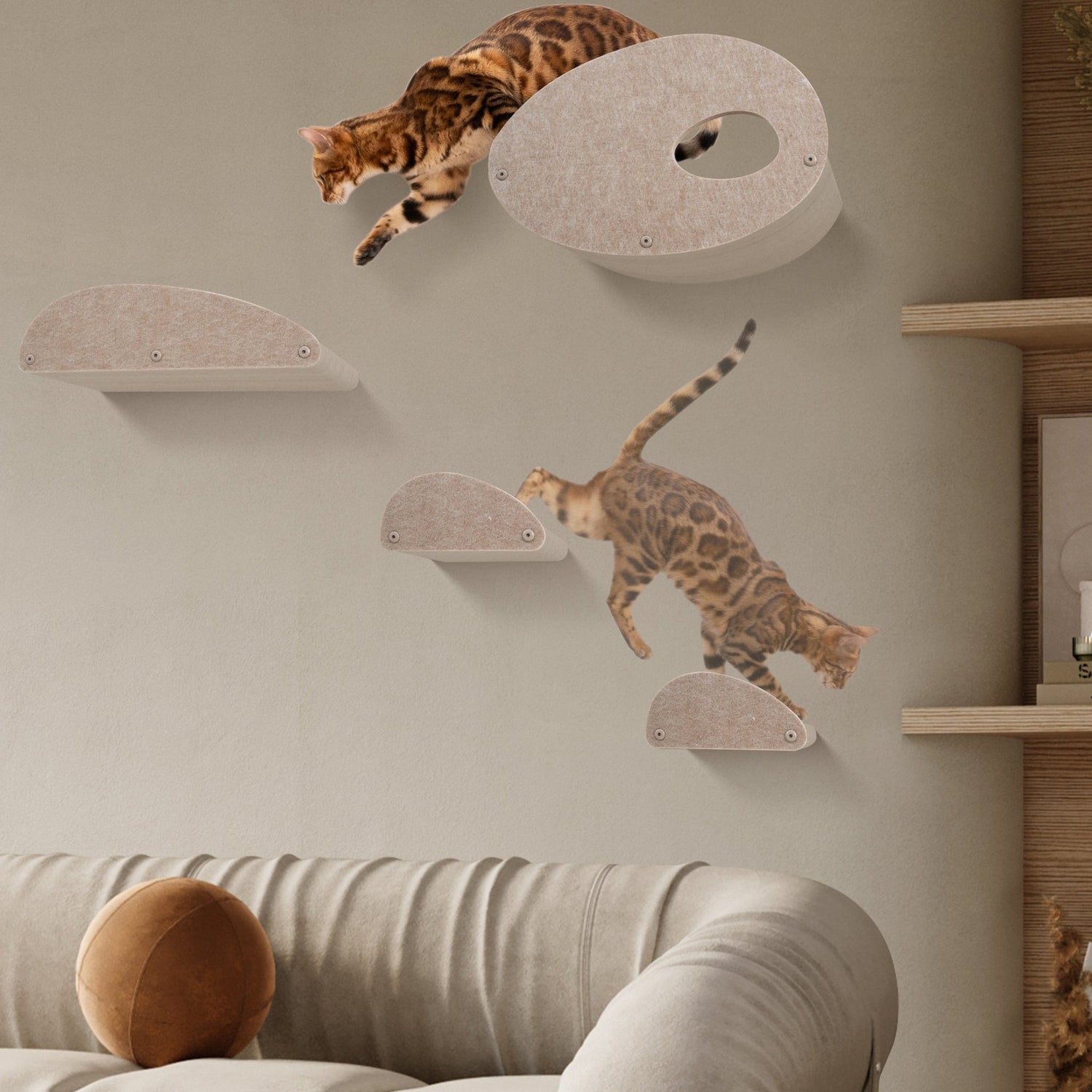 Cat Climber Facades (Oatmeal) - Set of 4 - Pryde Pets | prydepets.com