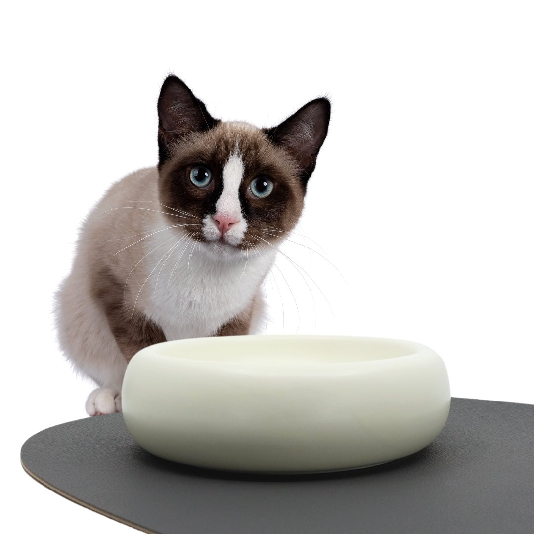 Ceramic Dining Bowl - Pryde Pets | prydepets.com
