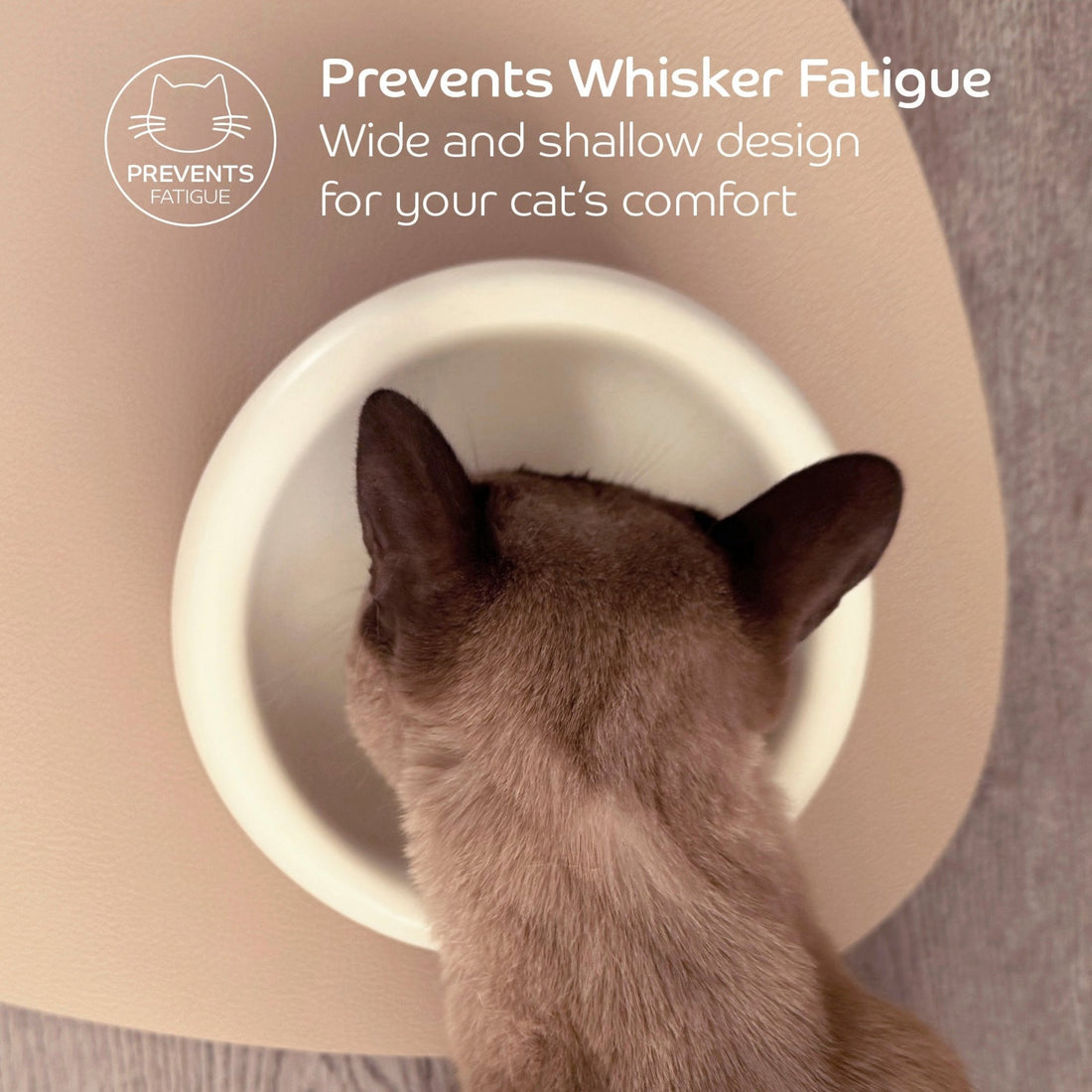 Ceramic Dining Bowl - Pryde Pets | prydepets.com