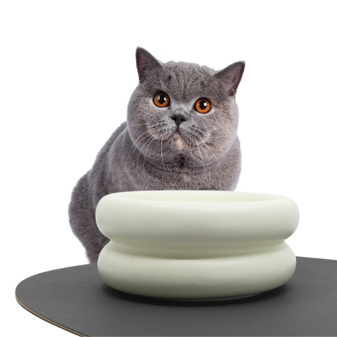 Ceramic Dining Bowl - Elevated - Pryde Pets | prydepets.com