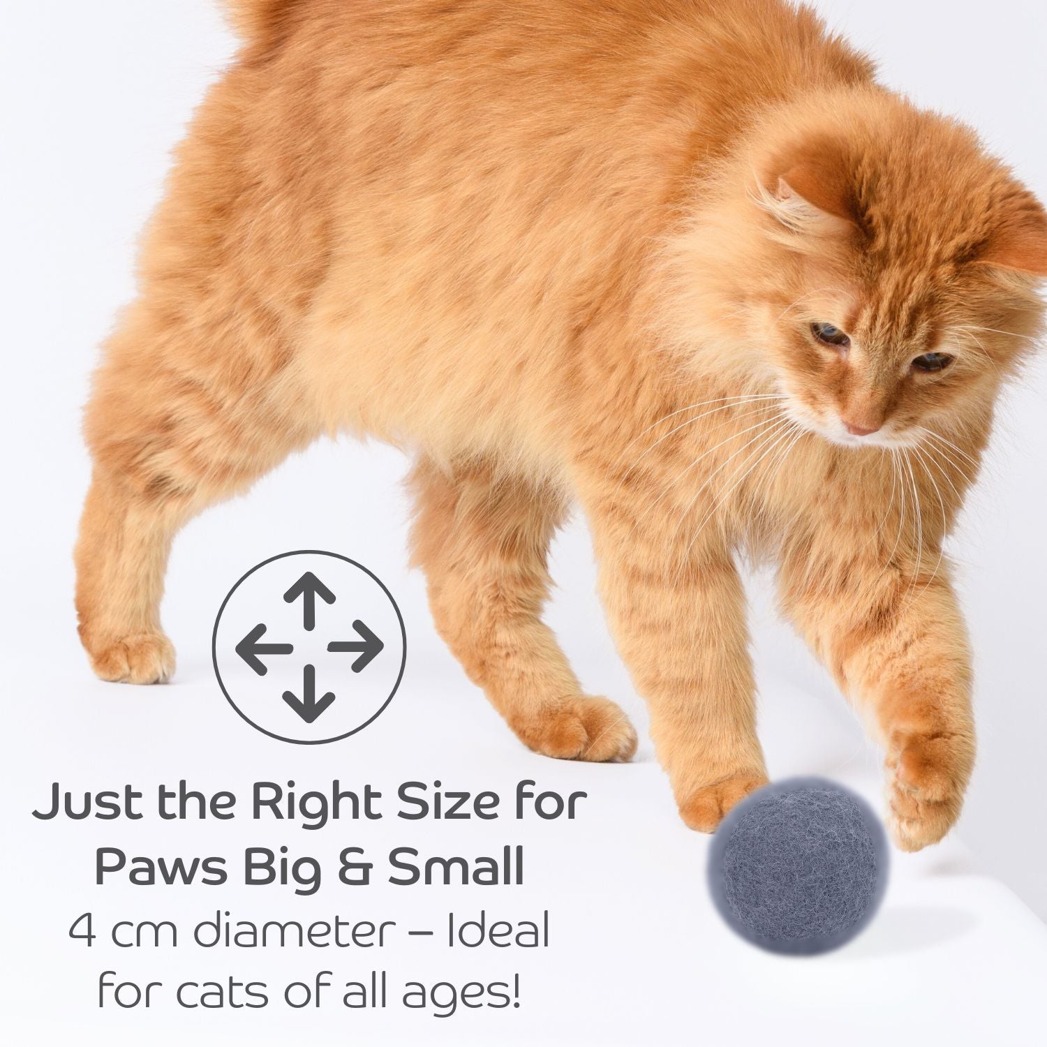 Claw - some Felt Wool Balls (Set of 5) - Pryde Pets | prydepets.com
