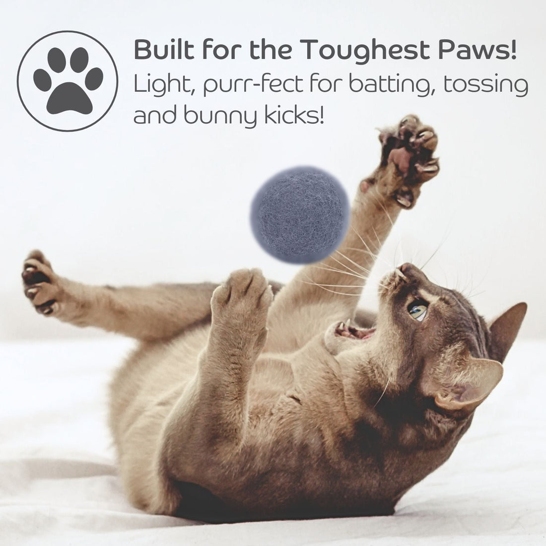Claw - some Felt Wool Balls (Set of 5) - Pryde Pets | prydepets.com