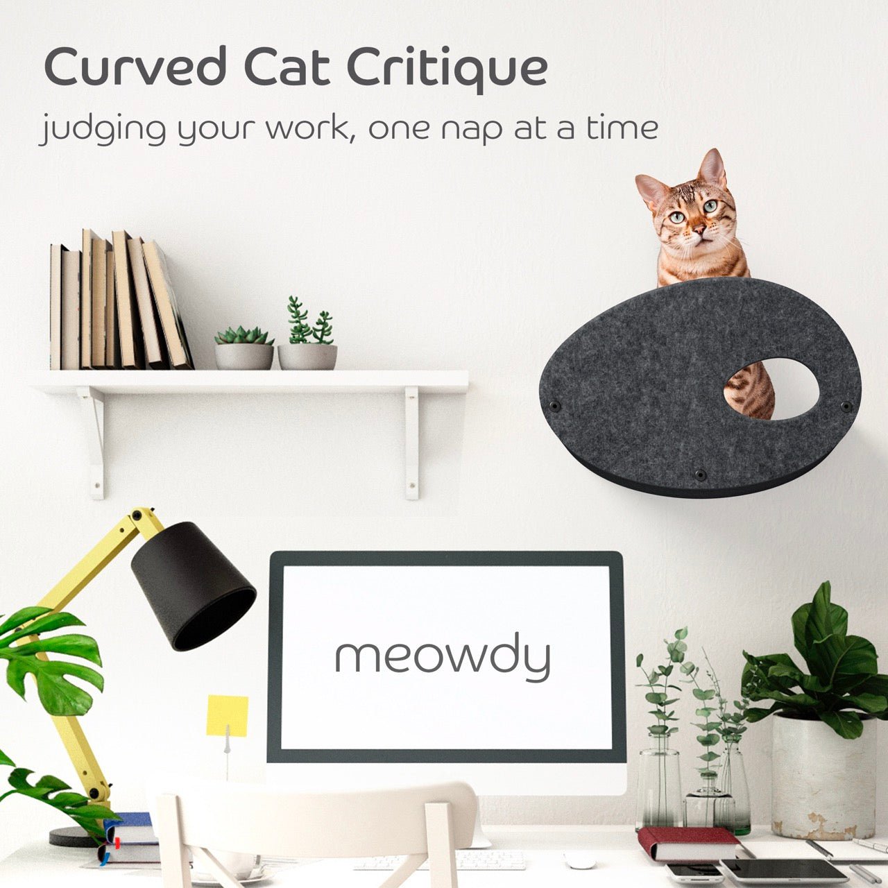 Curved Charcoal Cat Climber with Facade - Pryde Pets | prydepets.com