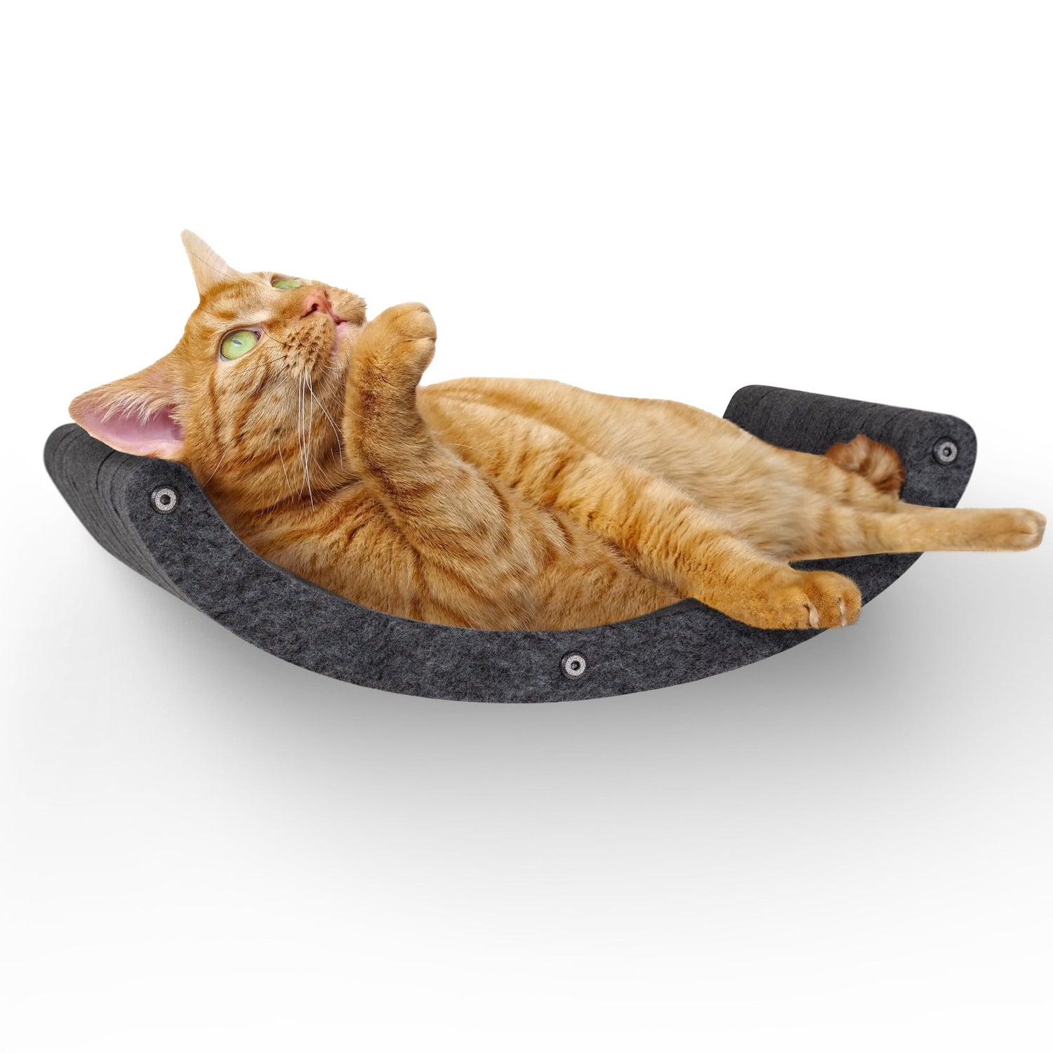 Curved Charcoal - Individual Cat Climber Shelf - Pryde Pets | prydepets.com