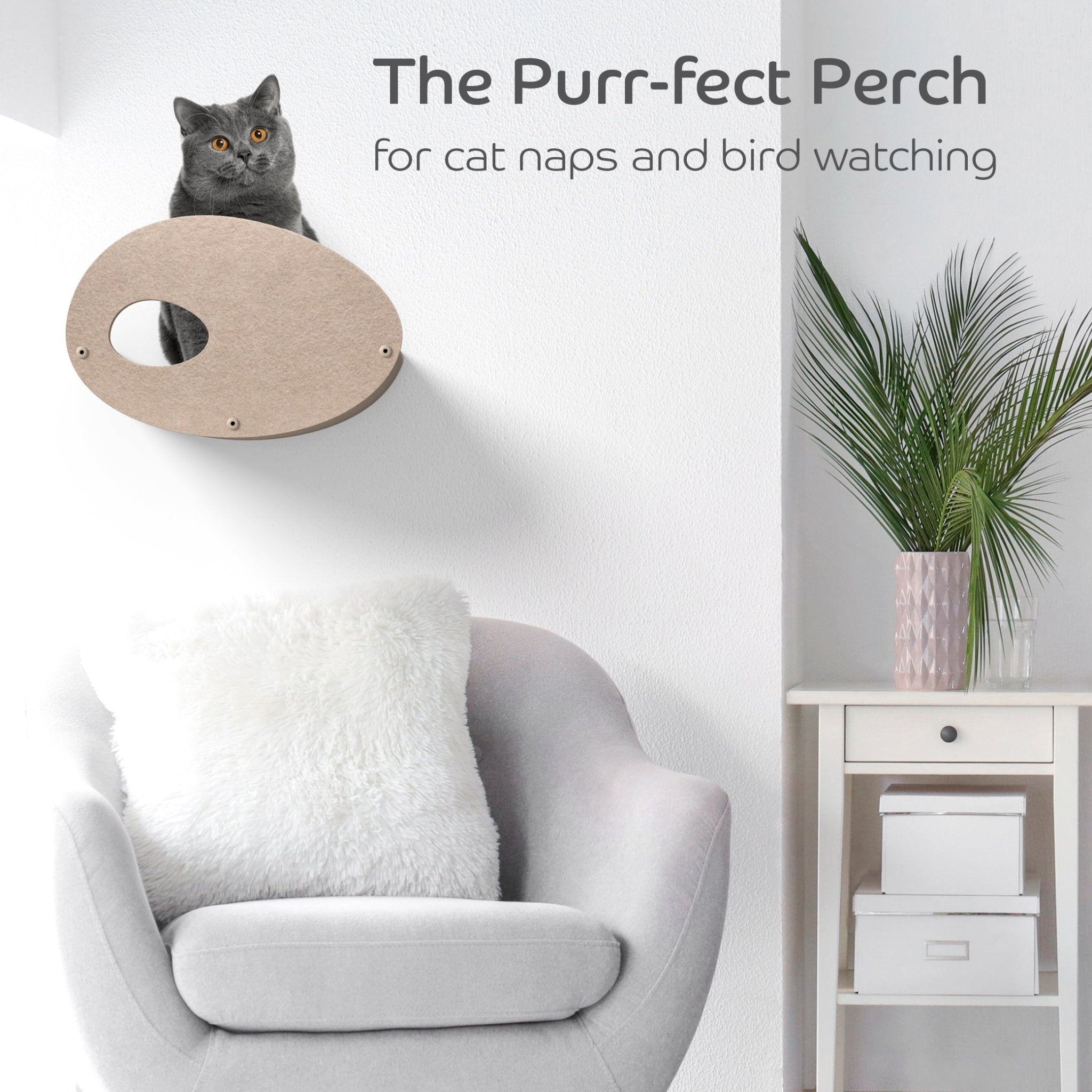 Curved Oatmeal Cat Climber with Facade - Pryde Pets | prydepets.com