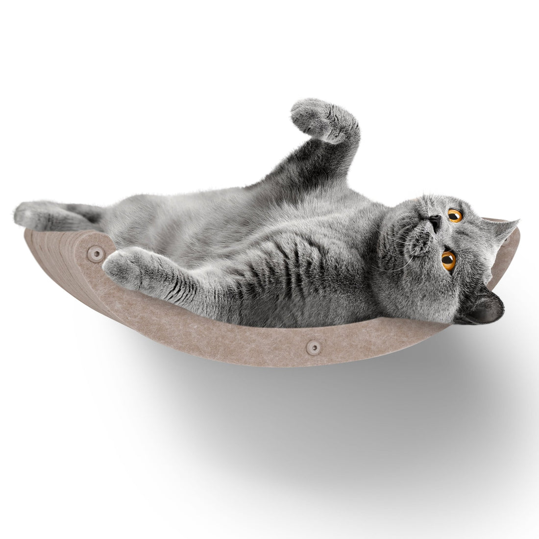 Curved Oatmeal - Individual Cat Climber Shelf - Pryde Pets | prydepets.com