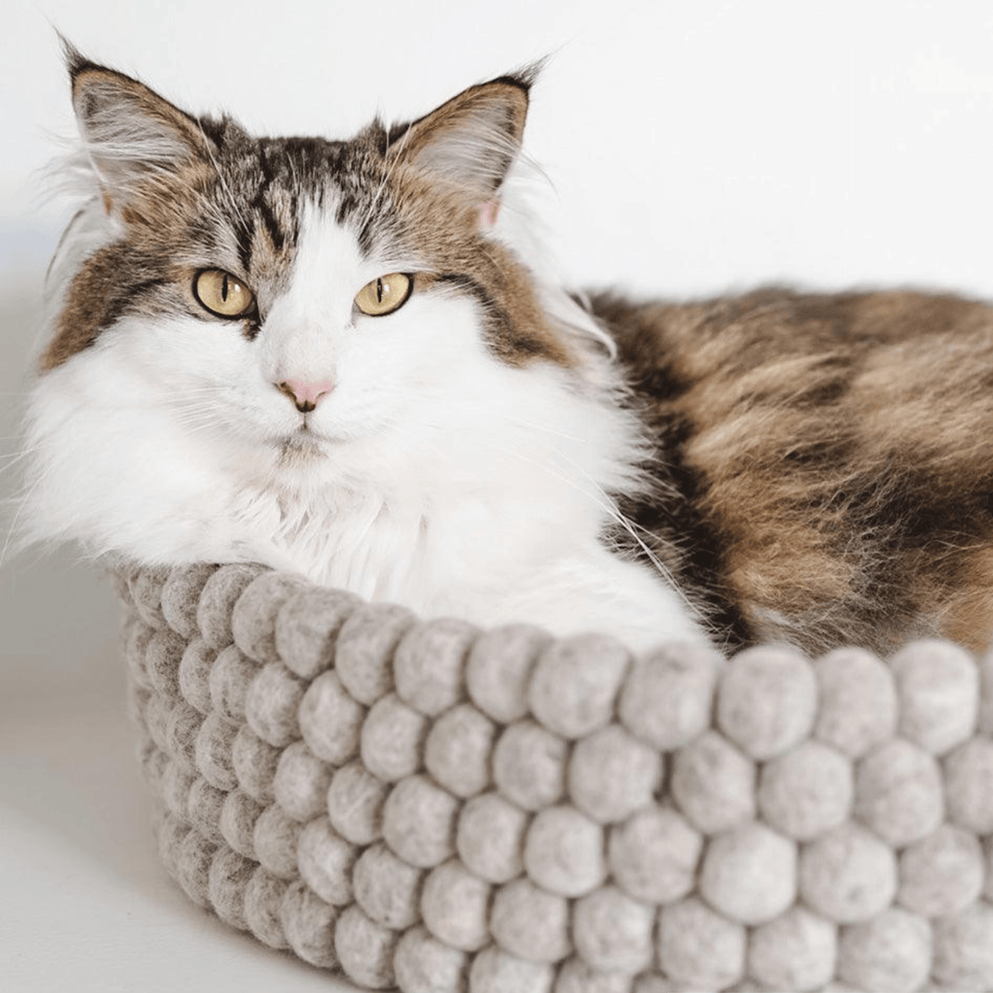 Handmade Felt Ball Cat Bed Round Wool Basket - Grey - Pryde Pets | prydepets.com