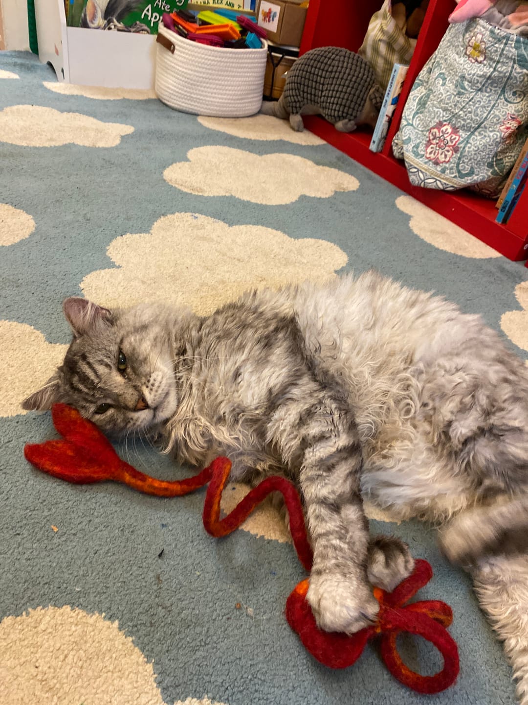 Handmade Felt Fish Spring Cat Toy - Red - Pryde Pets | prydepets.com