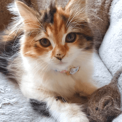 Handmade Felt Mouse Toy - Brown - Pryde Pets | prydepets.com