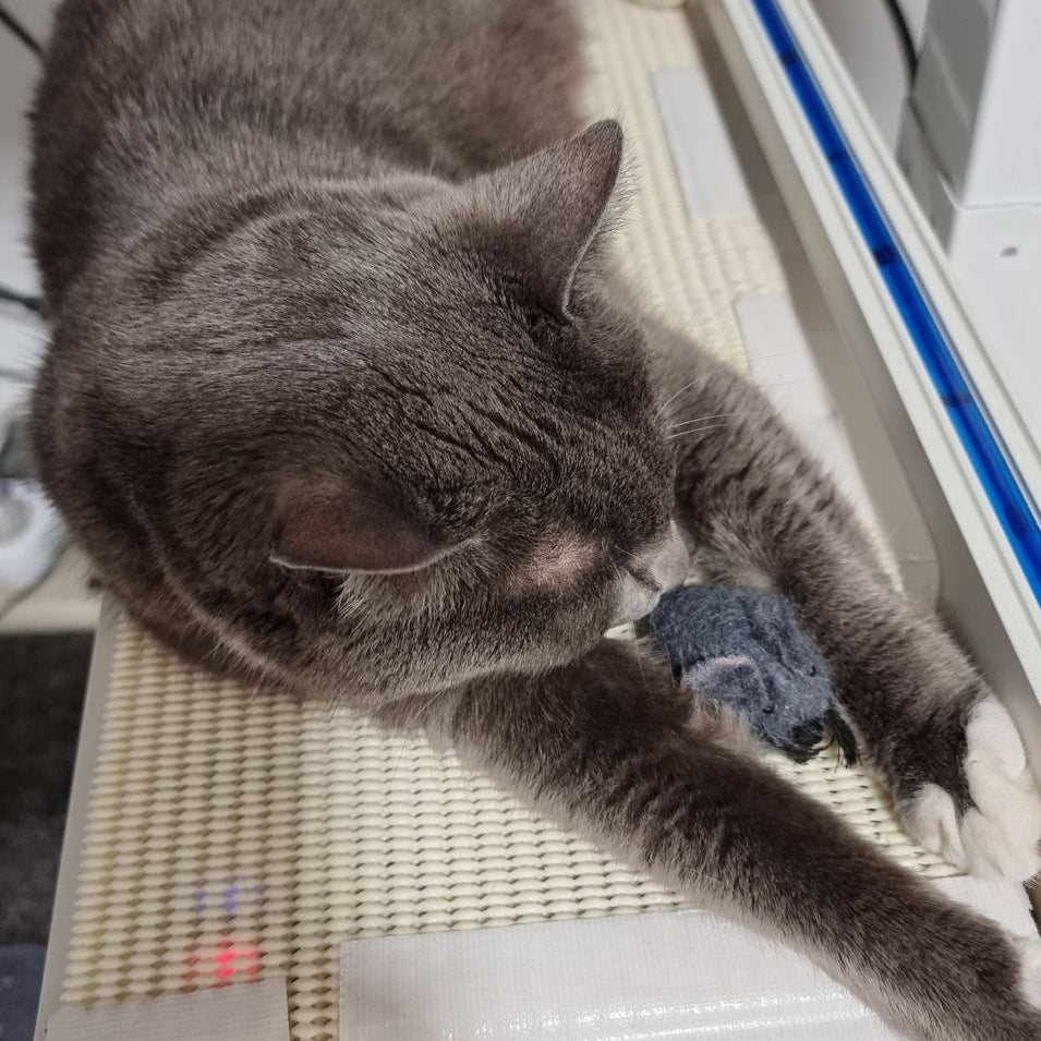Handmade Felt Mouse Toy - Grey - Pryde Pets | prydepets.com