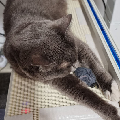Handmade Felt Mouse Toy - Grey - Pryde Pets | prydepets.com