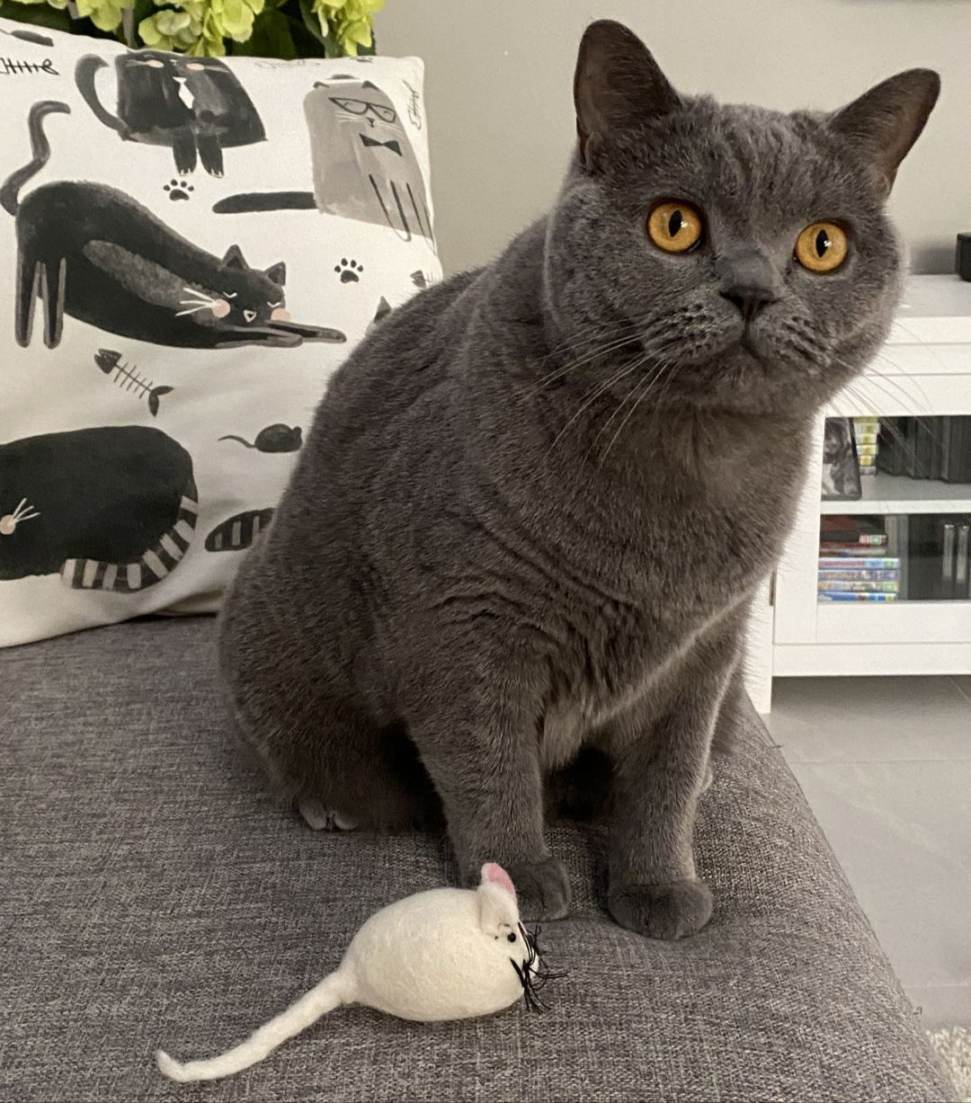 Handmade Felt Mouse Toy - White - Pryde Pets | prydepets.com
