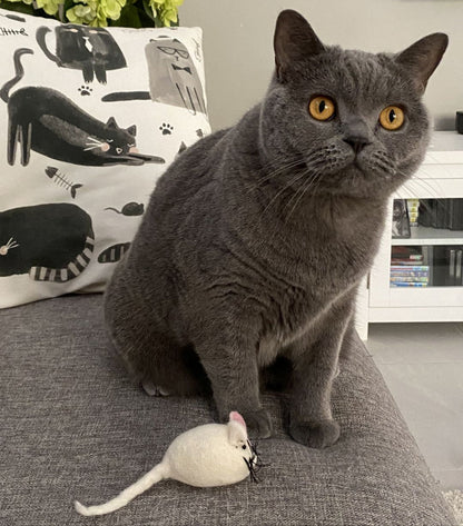 Handmade Felt Mouse Toy - White - Pryde Pets | prydepets.com