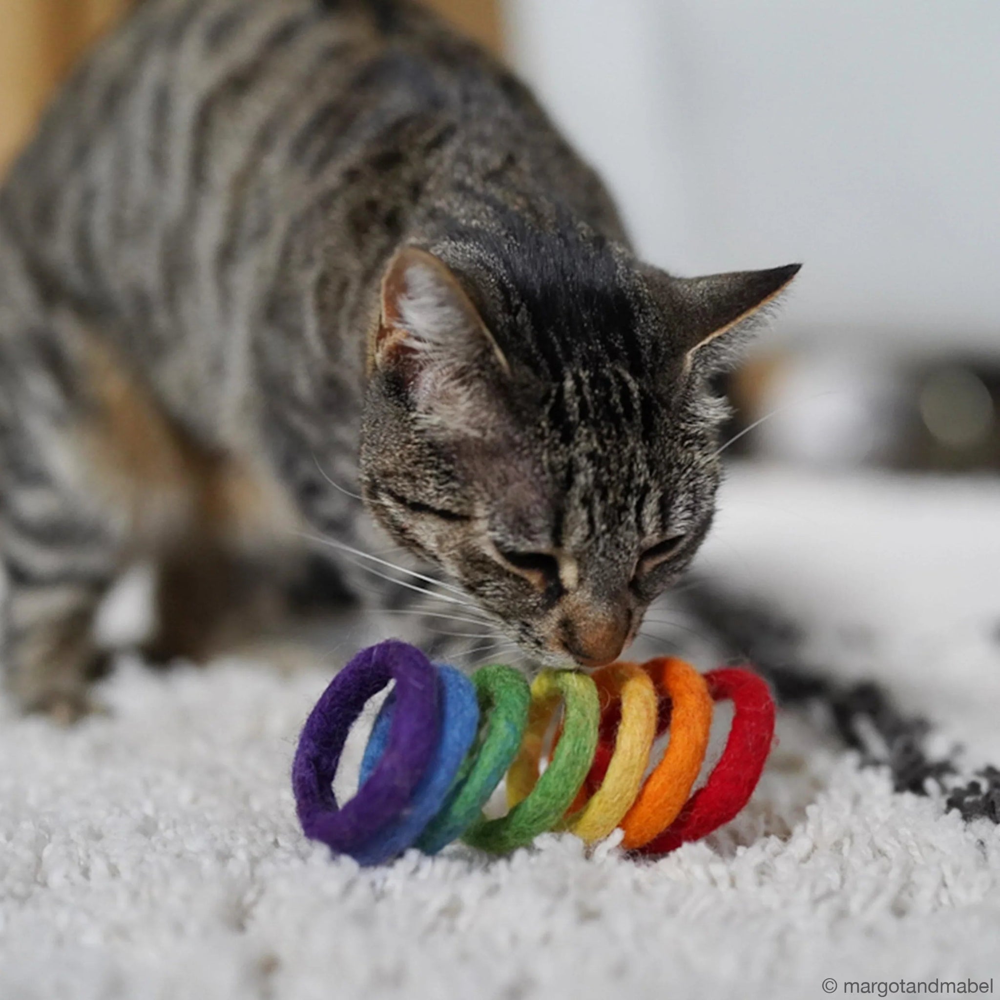Handmade Felt Rainbow Cat Spring Toy - Pryde Pets | prydepets.com