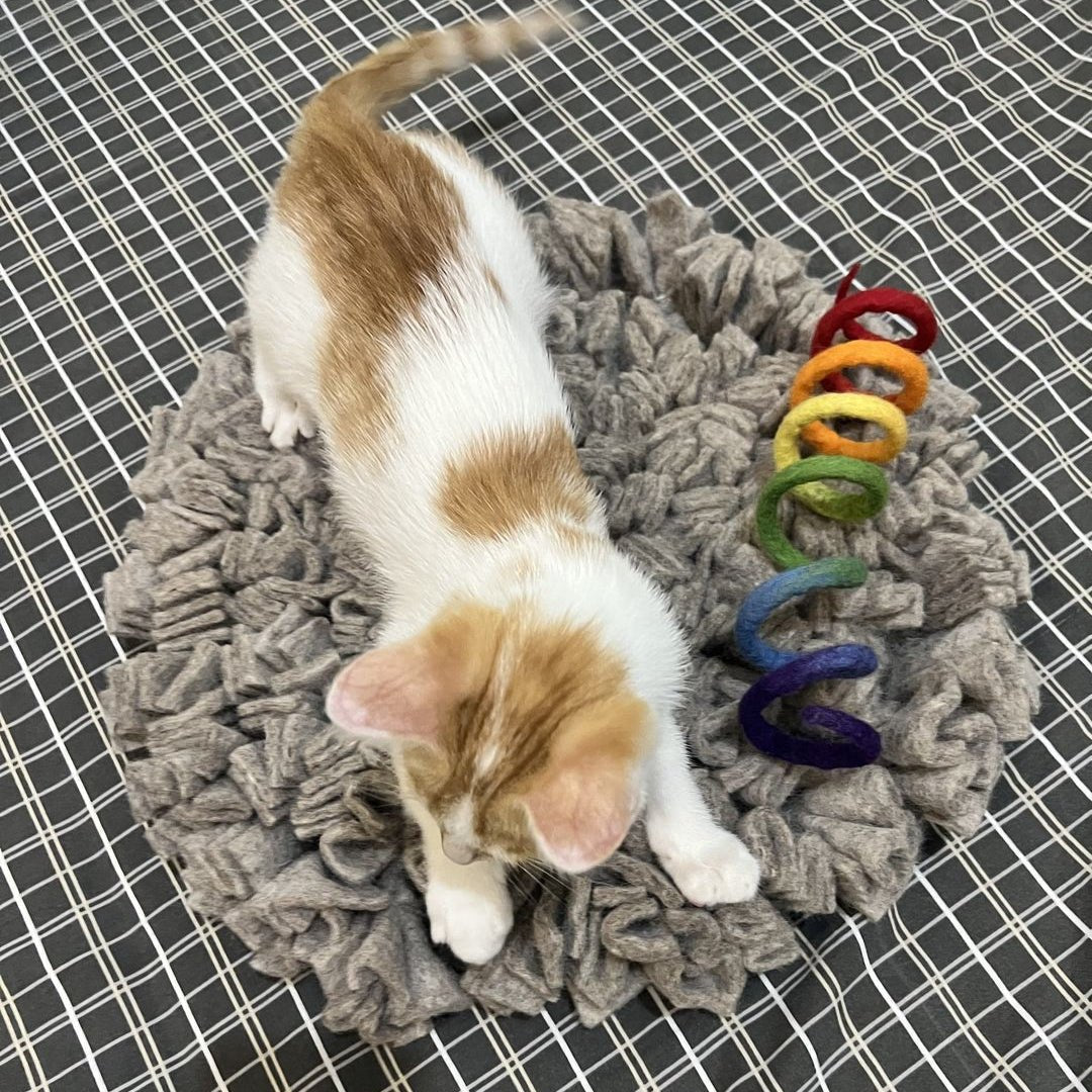 Handmade Felt Snuffle Mat for Cats - Pryde Pets | prydepets.com
