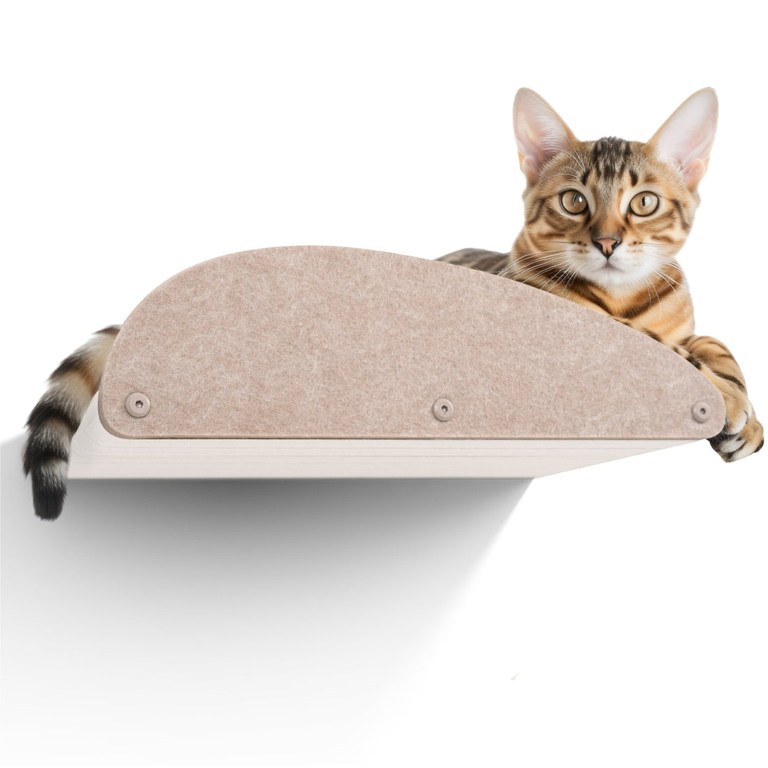 Oatmeal Long Lounger Cat Climber Facade Add-On