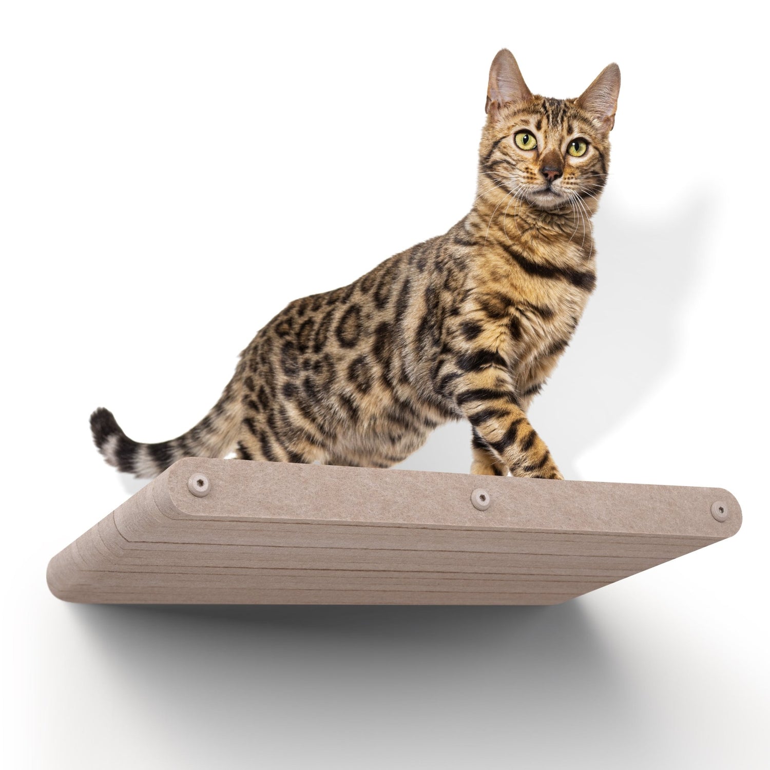 Long Oatmeal - Individual Cat Climber Shelf - Pryde Pets | prydepets.com