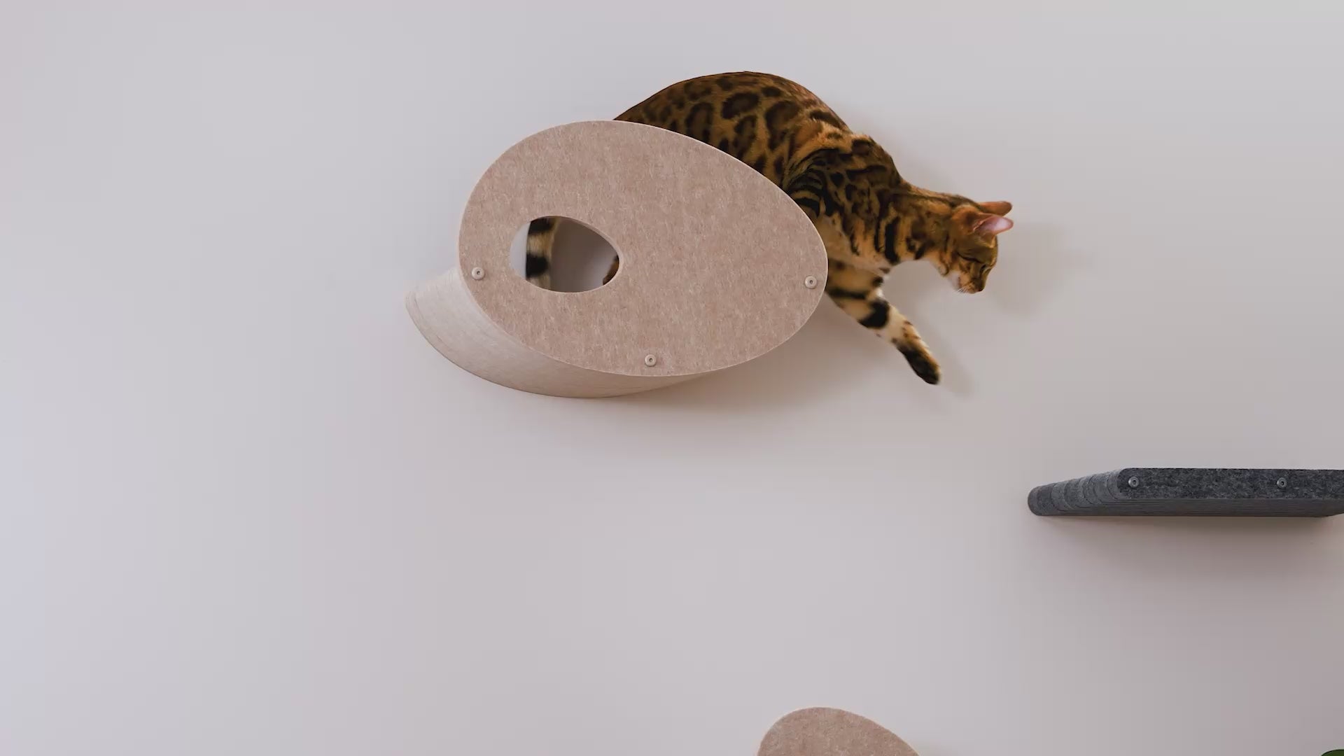 Set of 4 Oatmeal Cat Climbers with Facades