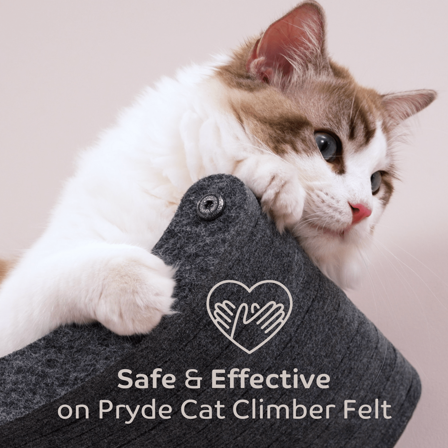 The Fur - nomenal Fur Remover - Pryde Pets | prydepets.com