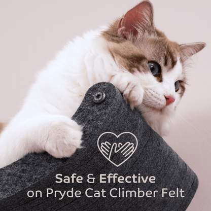 The Fur - nomenal Fur Remover - Pryde Pets | prydepets.com