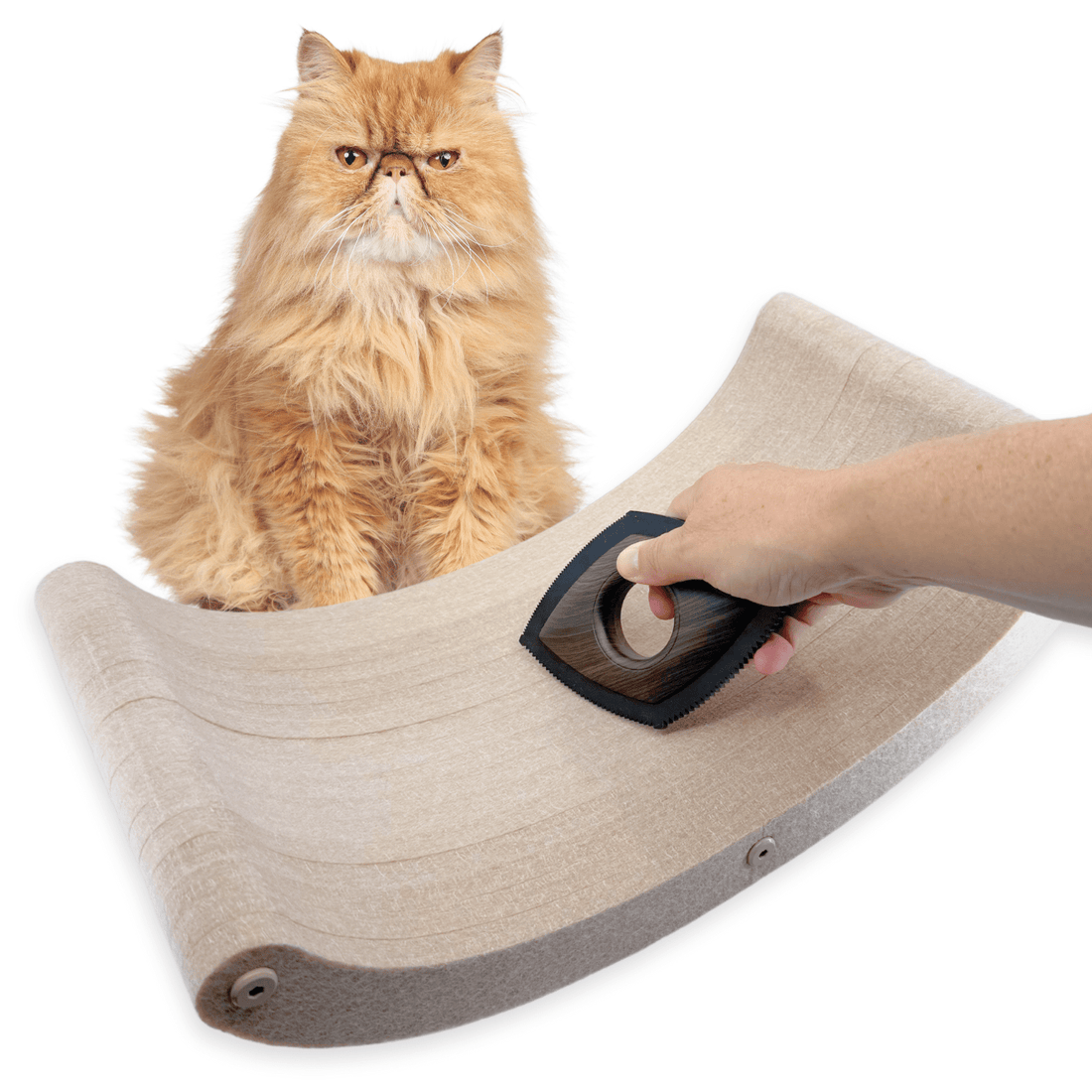 The Fur - nomenal Fur Remover - Pryde Pets | prydepets.com