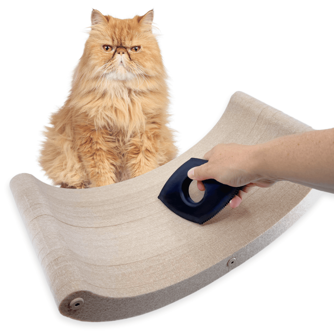 The Fur - nomenal Fur Remover - Pryde Pets | prydepets.com