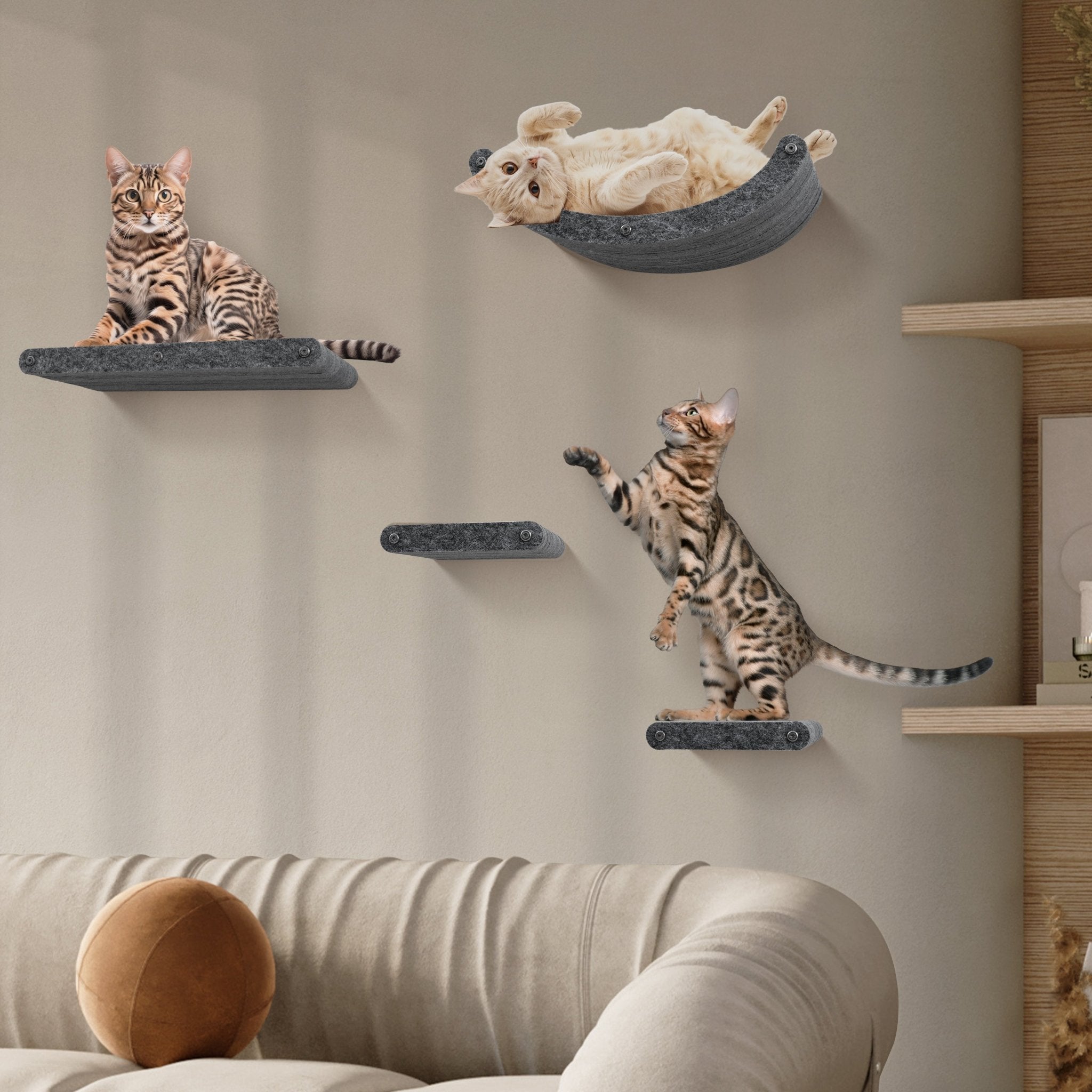 Wall Meow - nted Cat Climbers (Charcoal) - Set of 4 Shelves - Pryde Pets | prydepets.com