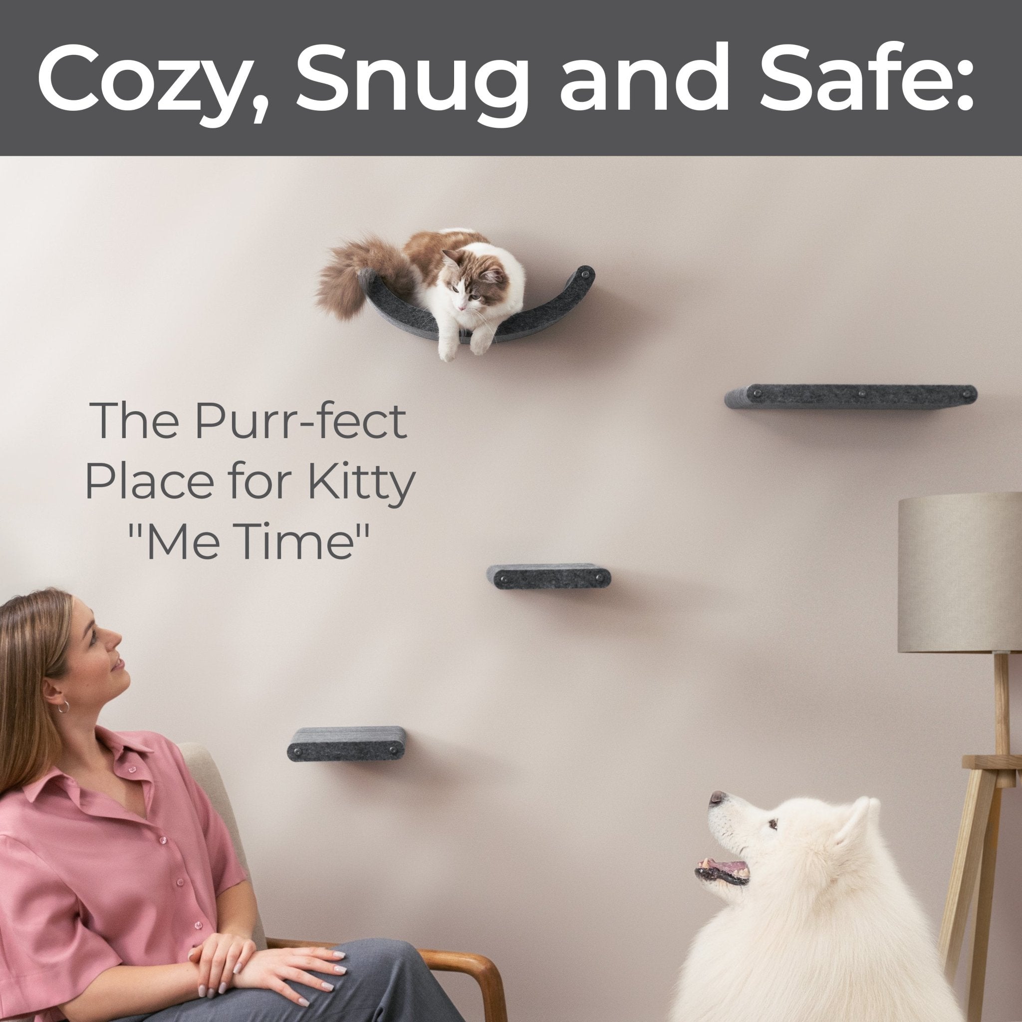 Wall Meow - nted Cat Climbers (Charcoal) - Set of 4 Shelves - Pryde Pets | prydepets.com