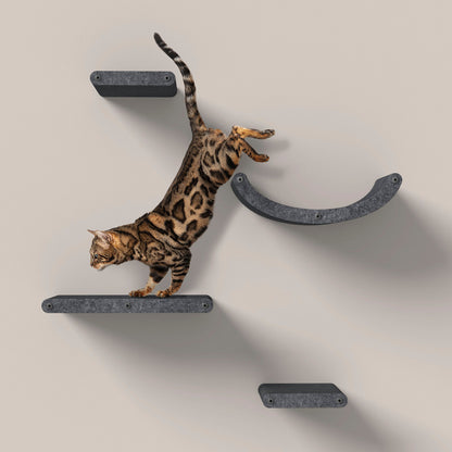 Wall Meow - nted Cat Climbers (Charcoal) - Set of 4 Shelves - Pryde Pets | prydepets.com