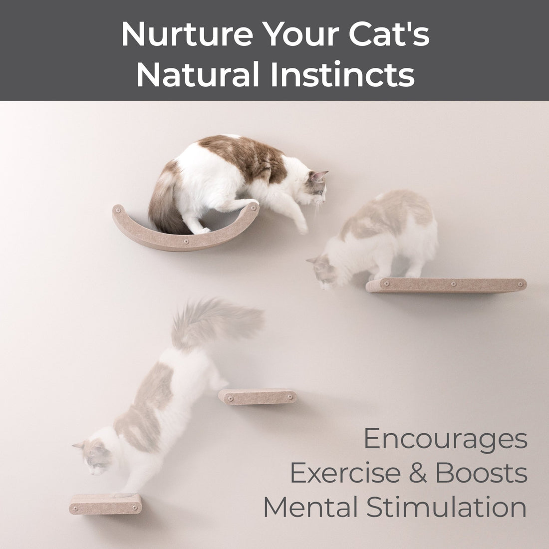 Wall Meow - nted Cat Climbers (Oatmeal) - Set of 4 Shelves - Pryde Pets | prydepets.com